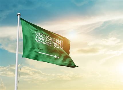 Brazilian Jiu-Jitsu: Ground Fighting for MMA training image