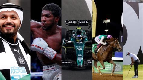 Striking in MMA: Boxing, Kicks, Knees and Distance training image