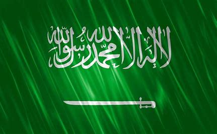 Saudi MMA Organizations