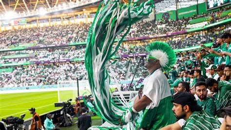 Saudi MMA Broadcasting Saudi combat sports image