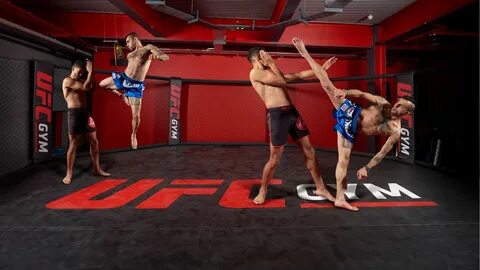 Mixed Martial Arts: A Complete Beginner Guide training image